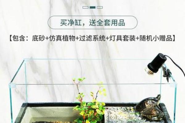 养龟风水_为什么卧室里面不能养乌龟