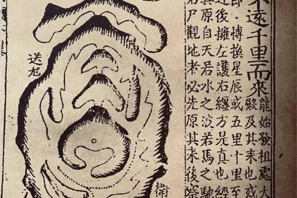 理气派风水是指什么？