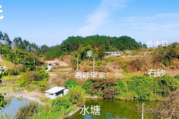 出大官又发财的风水阳宅特征是什么