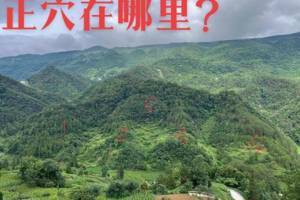 风水人居