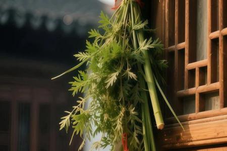 风水习俗端午挂艾草是单还是双解答