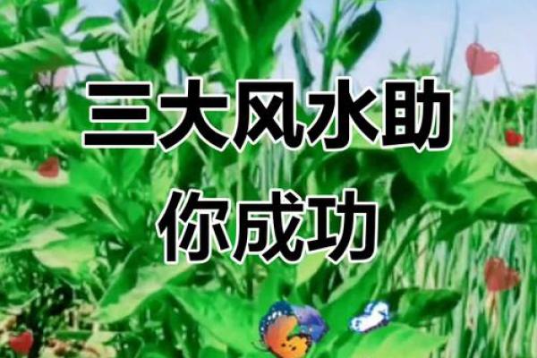 每人有四处风水，养好就是富贵