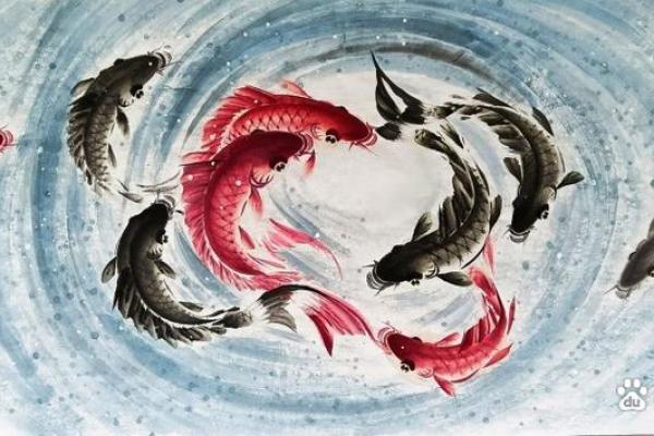 养风水鱼有什么讲究？