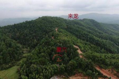 风水观点路旁土命是最惨的吗