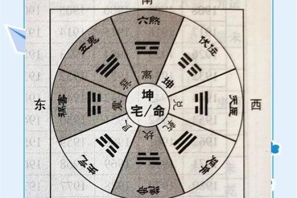 阳宅风水师告诉你 家里摆放什么才能更快的招来财气