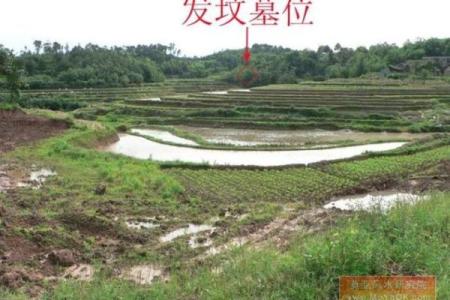 如何看阴宅风水宝地