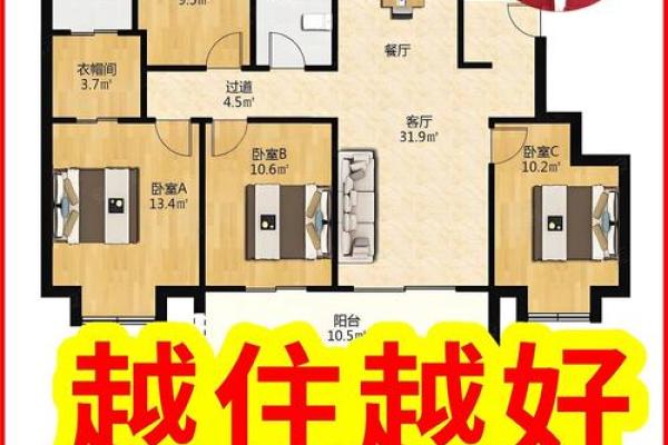 房子中间放什么旺风水