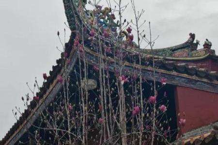 寺庙旁边一楼房子好吗风水