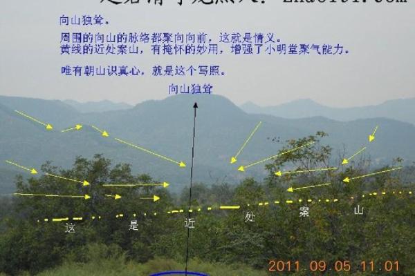 杨筠松风水点穴秘诀坟地寻龙诀