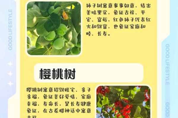 四季如春屋前种什么树最旺风水讲究