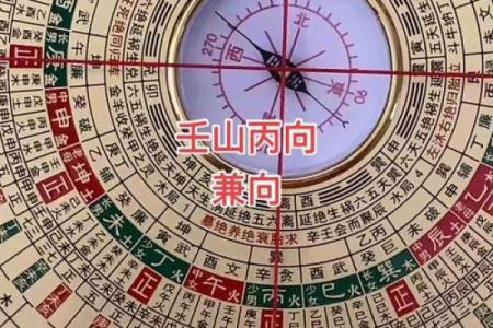 丙山壬向兼午子风水