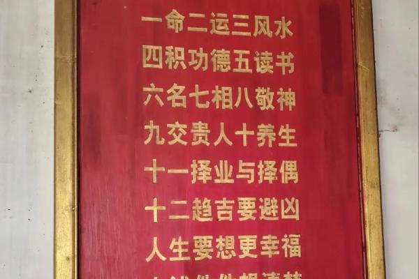风水墓地_风水玄幻小说排行榜