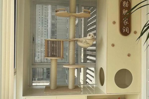 家里如何建个猫房子呢风水