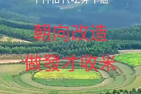风水先生说：应当重视迁居禁忌