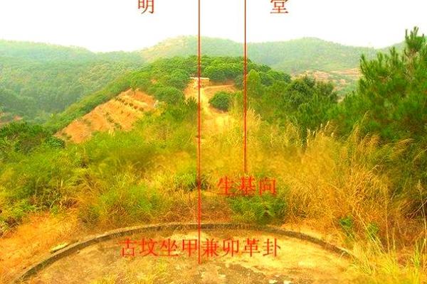 何鸿燊的房子风水