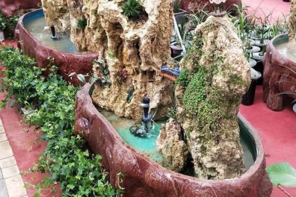 盆景风水_家里摆放什么盆景更好