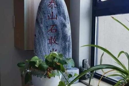 南面靠山的房子风水