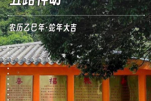 风水角度大年初五可以出门吗
