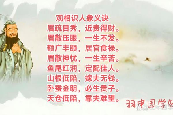 面相为什么断眉是富贵之相风水解答