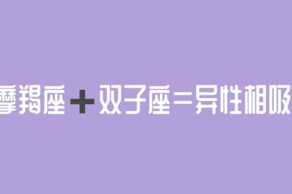 摩羯女和双子男配对指数是多少 摩羯女和双子男适合在一起吗