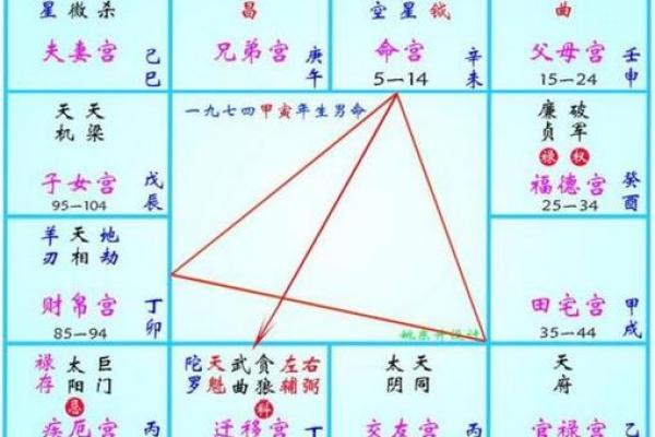 紫薇斗数变景