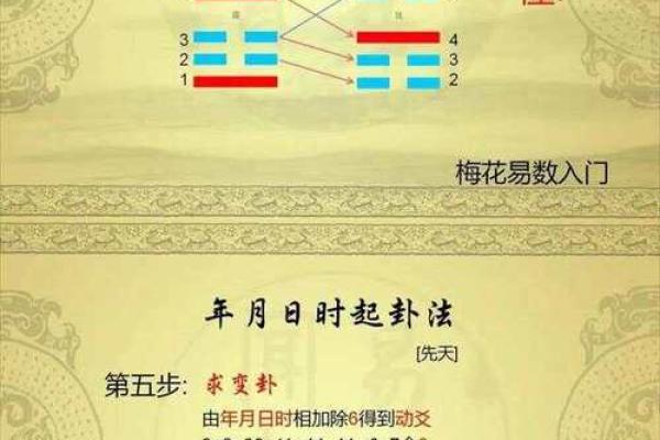 用梅花易数怎么算命