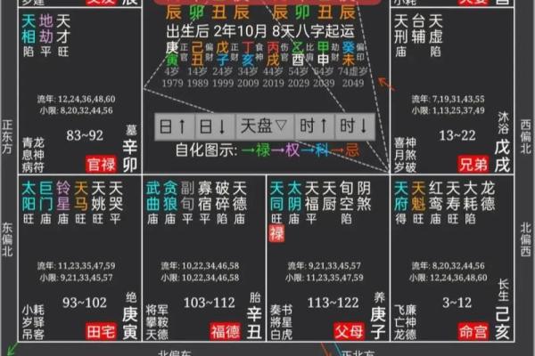 紫薇斗数照