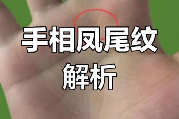 图解：手相中的感情线算命