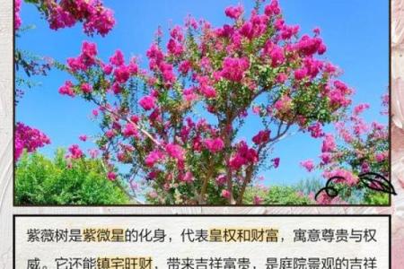 紫薇看配偶属相，紫薇看配偶性格和自己一样嘛？