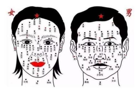 看相算命图解