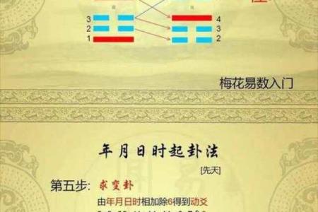 用梅花易数怎么算命