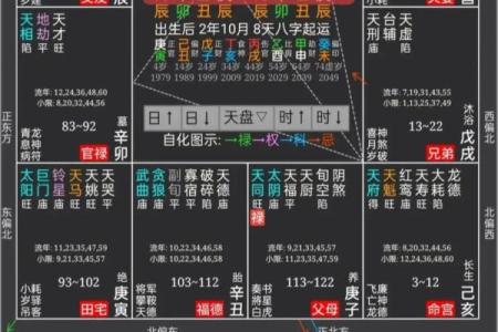 紫薇斗数照