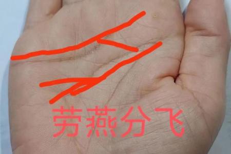 图解：手相中的感情线算命