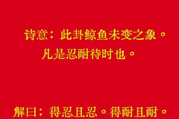 观音每日一签