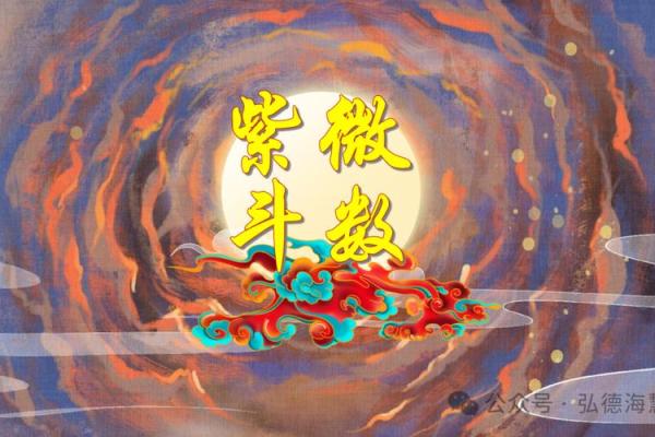 适合当艺术家的紫薇斗数
