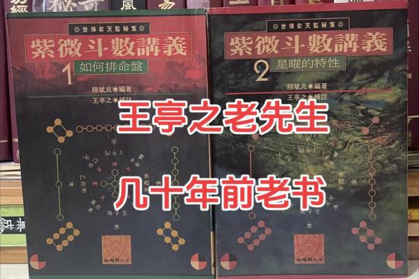 陈彦廷紫薇斗数书