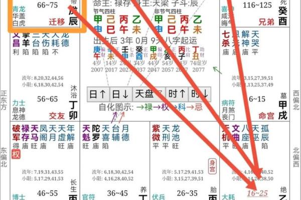 唐艺尹老师紫薇斗数算田宅宫：廉贞星坐守十二宫位置分析田产运