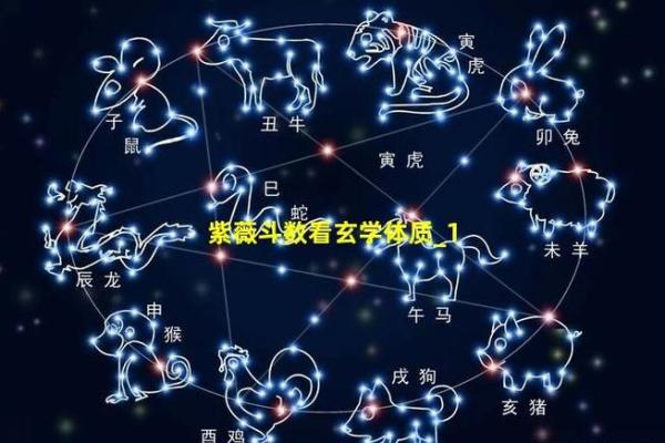 紫薇斗数有那么神奇 紫薇斗数有那么神奇