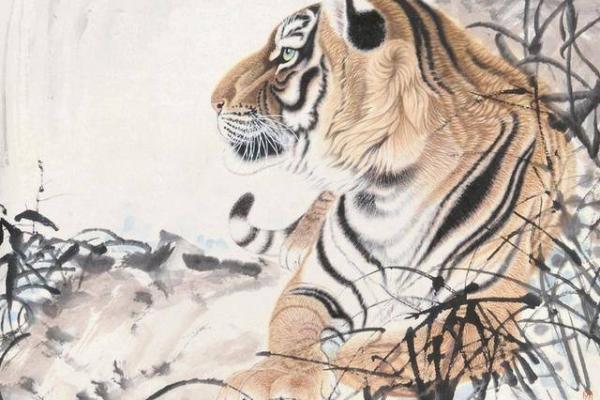 风水二八佳人是什么生肖最恰当