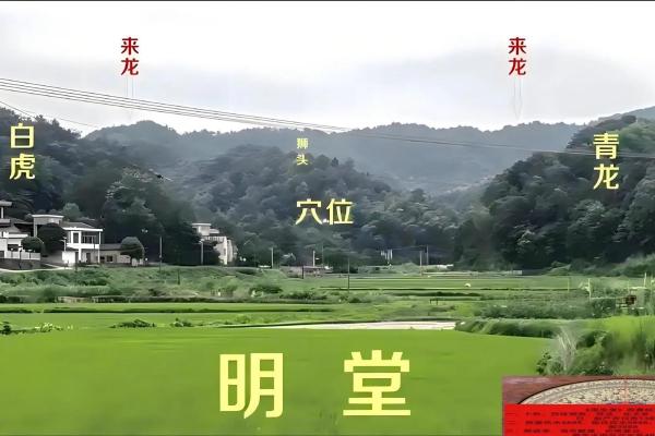好风水坟地有什么特征