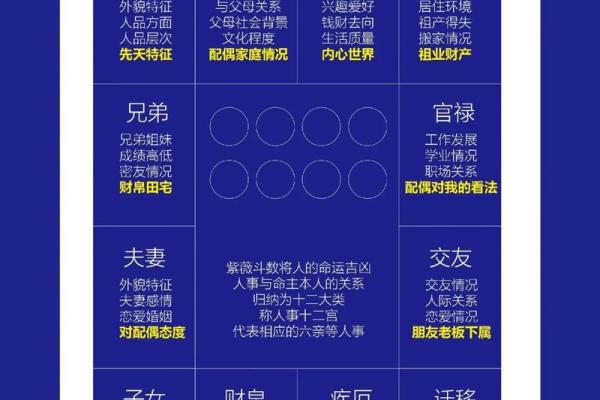 命带紫薇星是什么意思