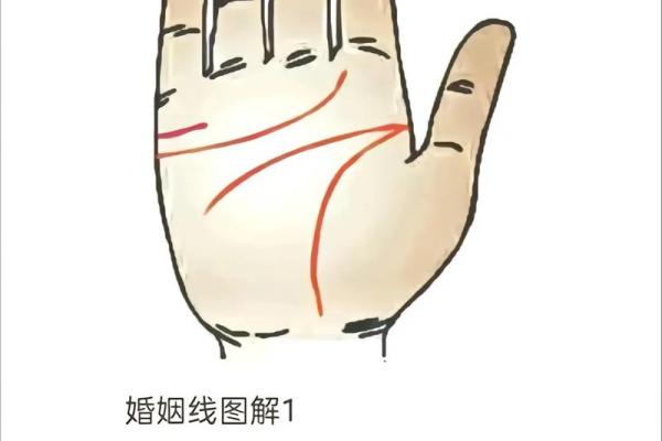 女性左手掌纹手相算命准吗