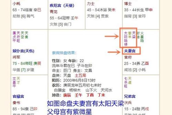 紫微斗数父母宫疾病恶化 紫微命盘父母宫？