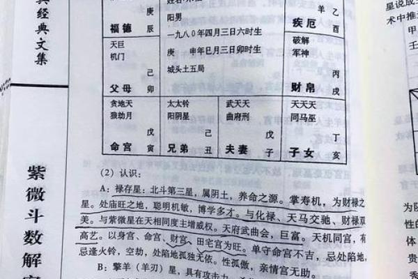 怎么理解紫薇斗数