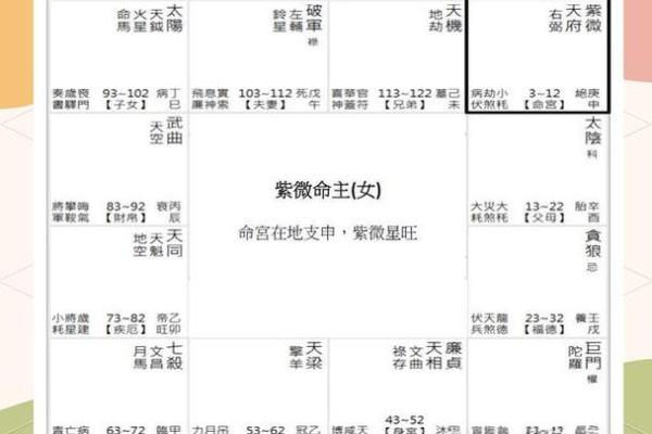紫薇斗数科在命宫