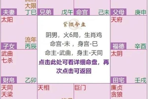 紫薇斗数科在命宫