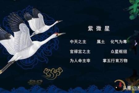 适合当艺术家的紫薇斗数