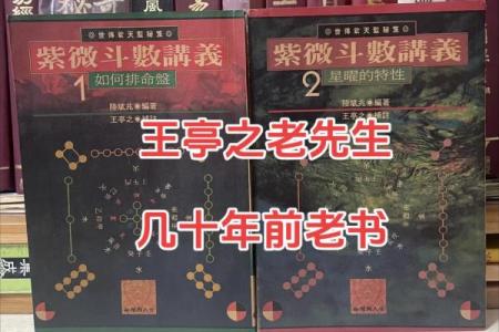 陈彦廷紫薇斗数书