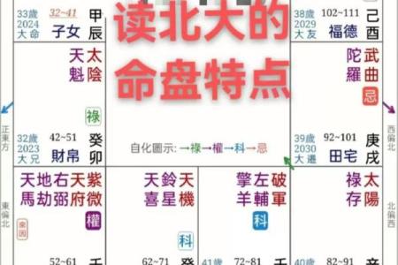唐艺尹老师紫薇斗数算田宅宫：廉贞星坐守十二宫位置分析田产运