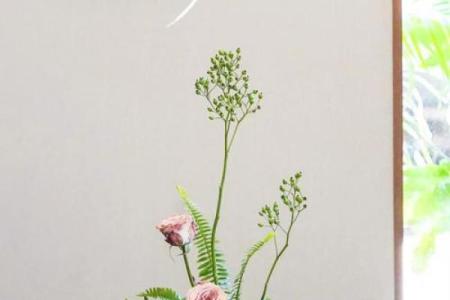 玫瑰插花风水